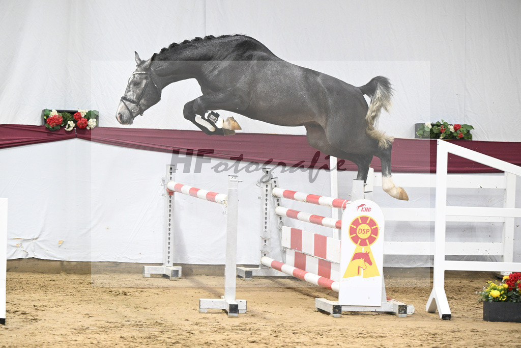 Kat-Nr. 71 Comilfo Plus Z x Casallco_PBM Pfefferle GmbH_47252843 | hf-fotografie - Realisiert mit Pictrs.com