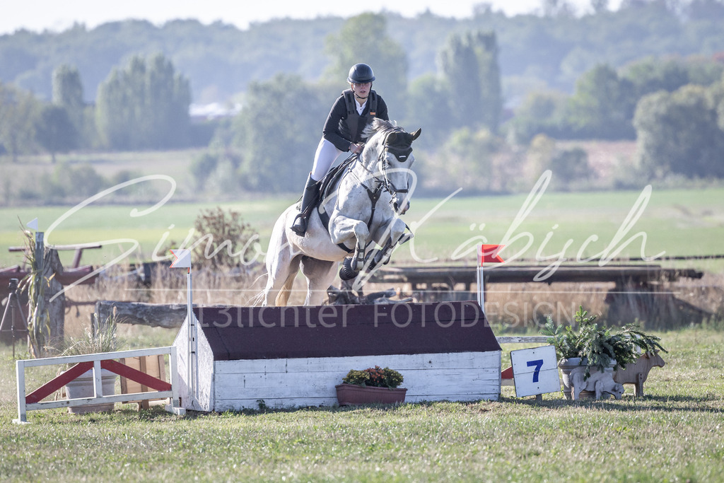 20260906-_3LI1520 | Tierfotografie Pferde, Hunde, Katzen, Haustiere.
Turnierfotografie Reitturniere, Reiten, Springreiten, Dressur in Hanau, dem Main-Kinzig-Kreis und dem Rhein-Main- Gebiet um Frankfurt