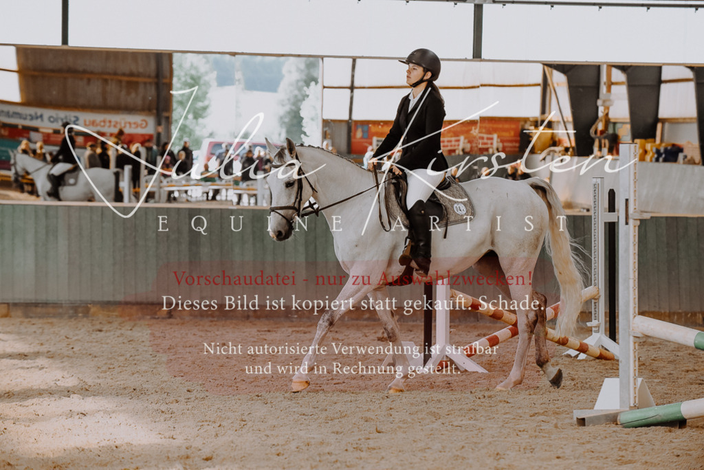 DSC_7416 | Pferde- und Turnierfotografie in Westsachsen. Pferdeportraits, Auftragszeichnungen und intuitive Kunst.
