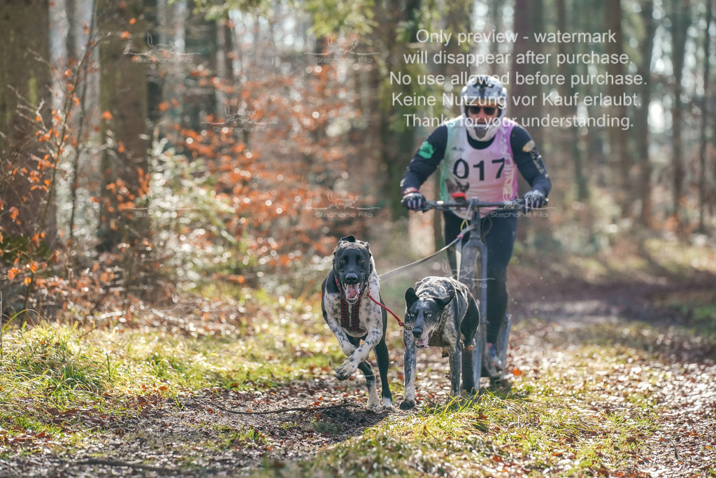 So_Scooter_2-12 | stephaniefillaphotographie - Realisiert mit Pictrs.com