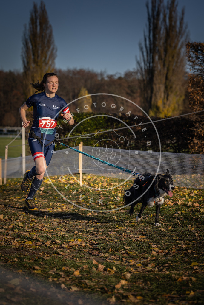 CaniXpix_DV3A2593 | Hundefotografie, Tierfotograf, Pfotenfotografie, Fotoshooting Hund, Hunde Portrait, Hundesport, Hundeportraits, Heideshooting, Hunde, Sportfotograf, Hundefotograf, Turnierhundsport, THS,  - Realisiert mit Pictrs.com