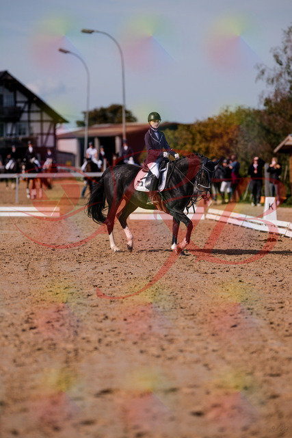 2026_10_03_Siefer-Hof_121411_Z81_15733714 | Professionelle Reitsport-, Turnier- und Eventfotografie von Robert Broda. Galerien mit ausgewählten und bearbeiteten Bildern direkt online ansehen und bestellen.