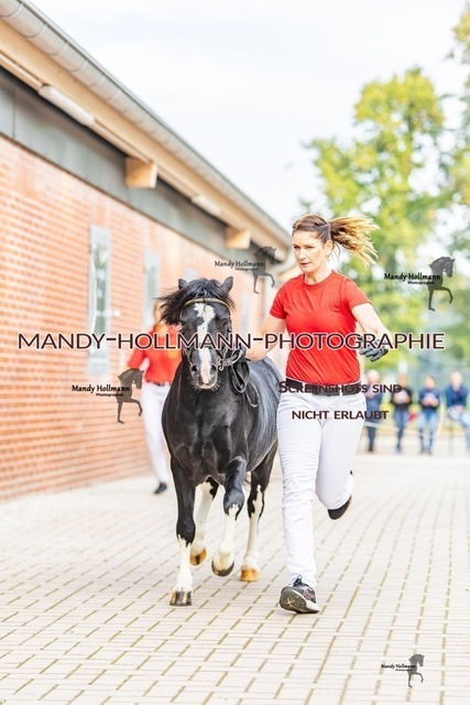 14-5 | mandyhollmannphotographie