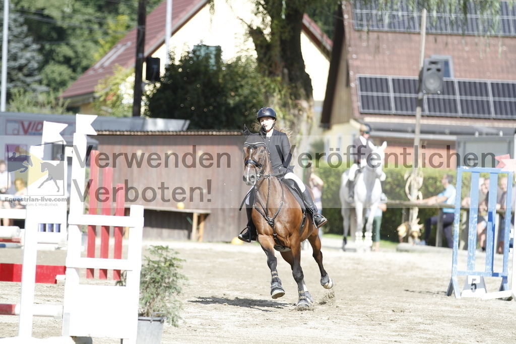 _MG_3669 | equestrian-live-com