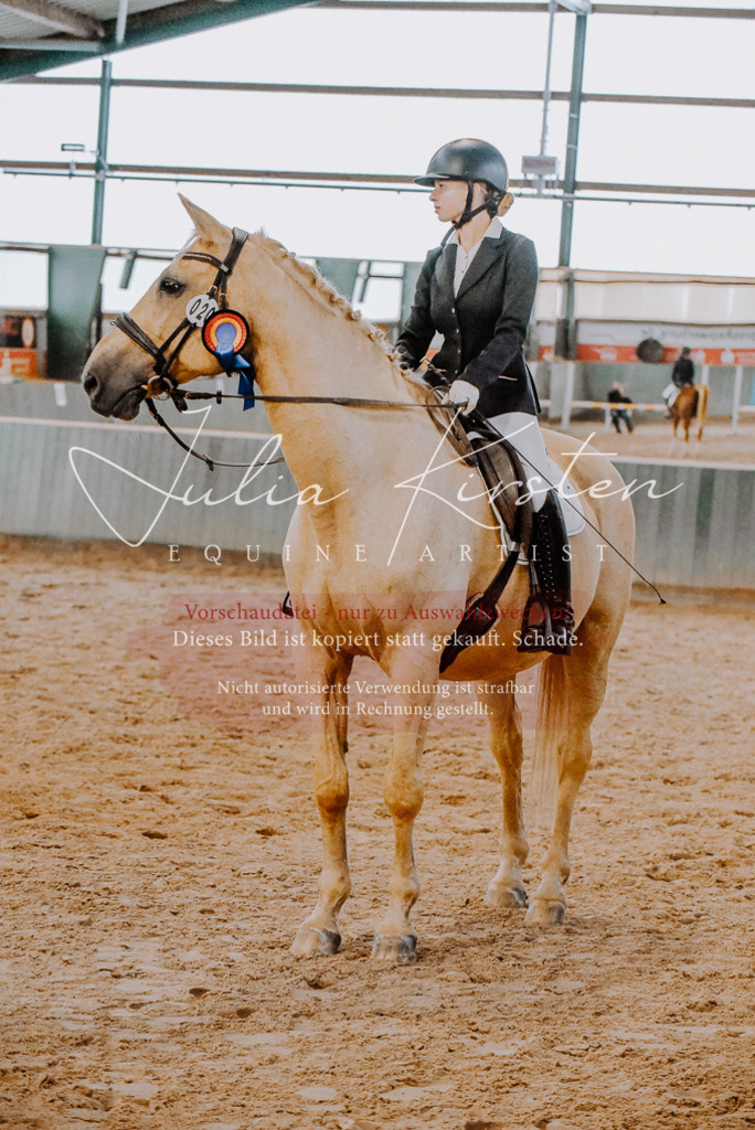 DSC_7739 | Pferde- und Turnierfotografie in Westsachsen. Pferdeportraits, Auftragszeichnungen und intuitive Kunst.