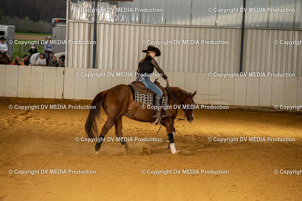 MIT00584 | dv-media-shop - Realisiert mit Pictrs.com