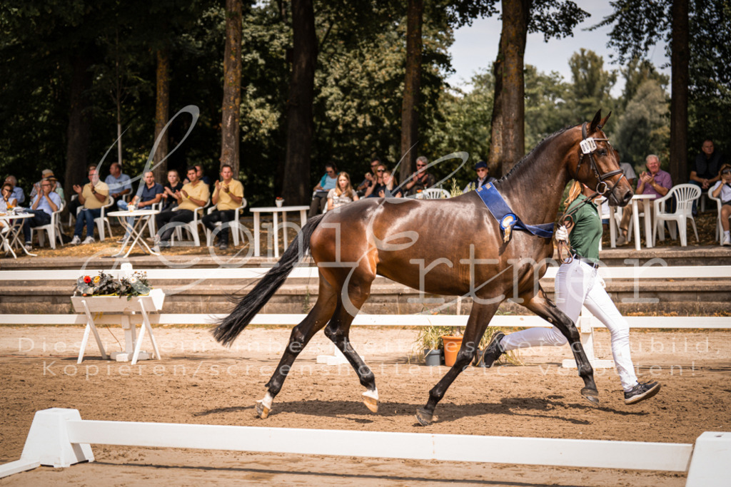 1.Fr00198 | Leoni Ertmer Photography - Realisiert mit Pictrs.com