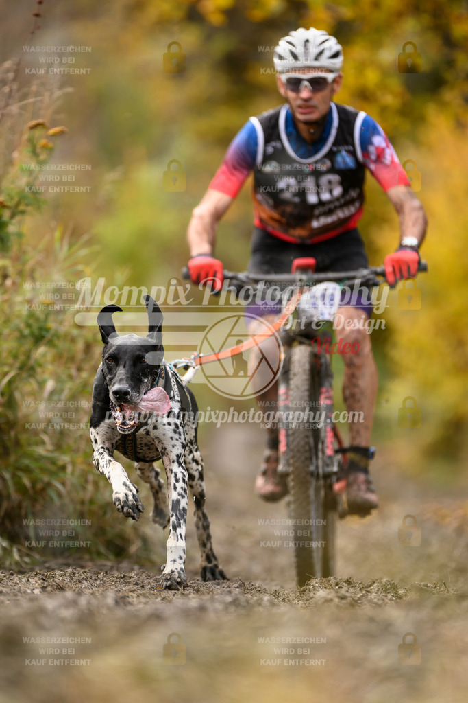 MompixPhotography_ICF_WC_2024_SA_Bike_-360 | PayLife