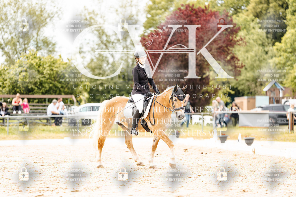 CK902946 | Turnierfotografie Pferdefotografie Trier Rheinland-Pfalz Pferdesport Reitsport Tierfotografie Sportfotografie Pferdevideo Pferdevideografie Equestrianvideography equestrianphotography  - Realisiert mit Pictrs.com