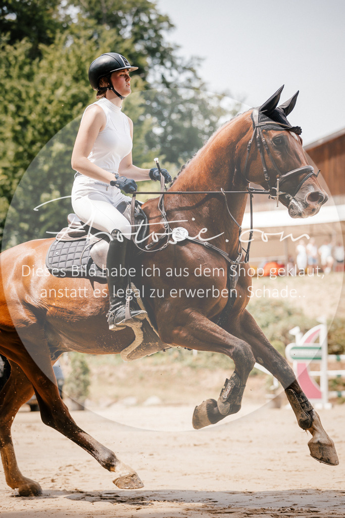 3I6A7836 | Stimmungsvolle Portraits und Reitsportfotografie im Ruhrgebiet und im Münsterland.

Pferdefotografie, Hundefotografie, Tierfotografie, Reportagen, Portraits von Tier und Mensch, Turnierfotografie in Bochum, Recklinghausen, Marl, Haltern am See, Dülmen.. - Realisiert mit Pictrs.com