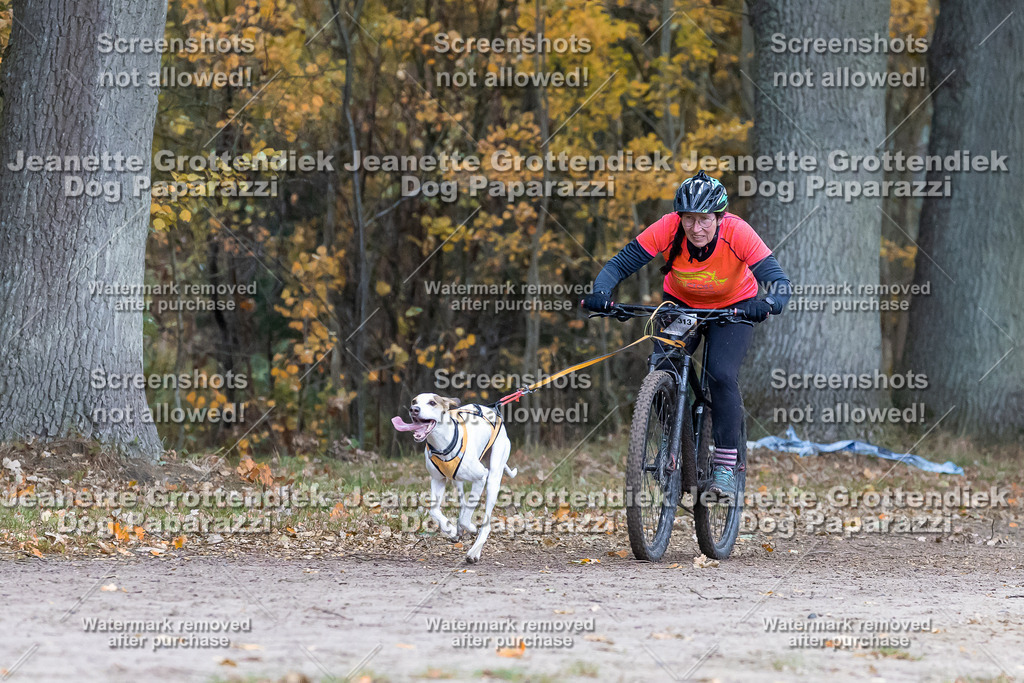 Dog Paparazzi - SD CaniX Championship 2025-201 | Dog Paparazzi Jeanette Grottendiek Fotografie & Videografie - Realisiert mit Pictrs.com