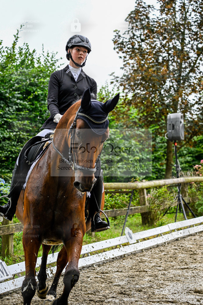 Bissendorfer Reitertage | Entdecke hochwertige Reitturnierfotos von Foto Oger. Professionell, emotional und authentisch – jetzt Lieblingsmomente im Shop bestellen. - Realisiert mit Pictrs.com