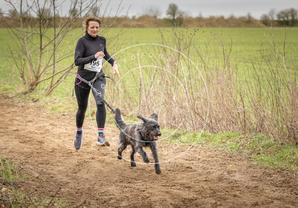 DV3A2355 | Hundefotografie, Tierfotograf, Pfotenfotografie, Fotoshooting Hund, Hunde Portrait, Hundesport, Hundeportraits, Heideshooting, Hunde, Sportfotograf, Hundefotograf, Turnierhundsport, THS,  - Realisiert mit Pictrs.com