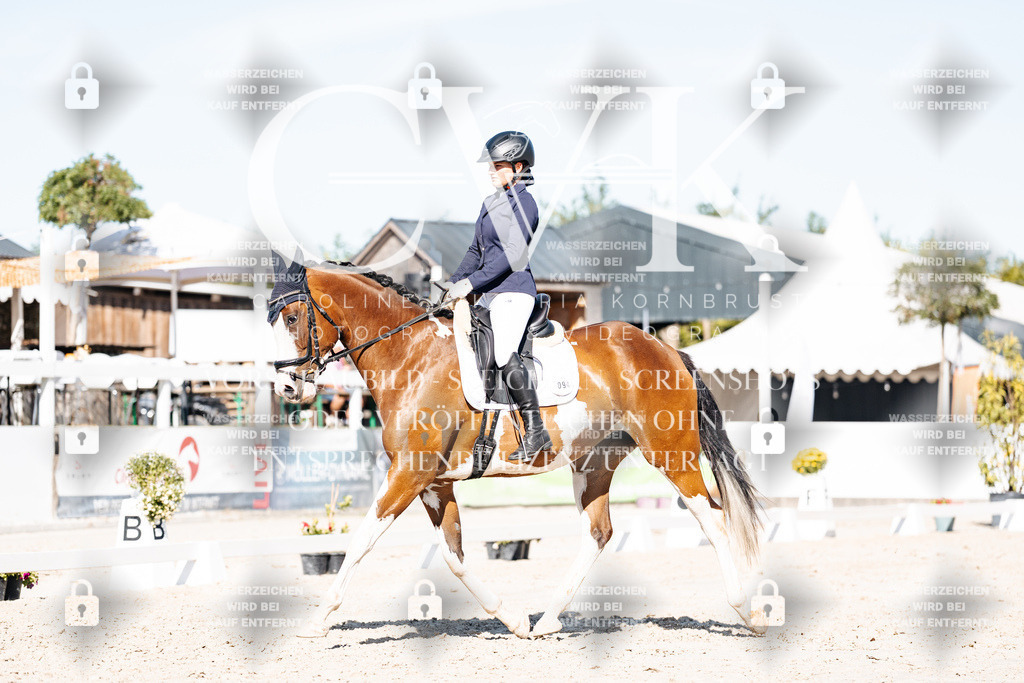 CK908098 | Turnierfotografie Pferdefotografie Trier Rheinland-Pfalz Pferdesport Reitsport Tierfotografie Sportfotografie Pferdevideo Pferdevideografie Equestrianvideography equestrianphotography  - Realisiert mit Pictrs.com