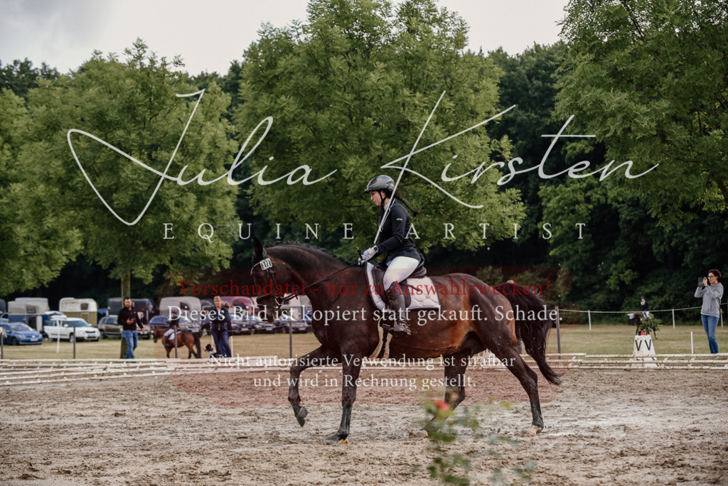 DSC_8654 | Pferde- und Turnierfotografie in Westsachsen. Pferdeportraits, Auftragszeichnungen und intuitive Kunst.