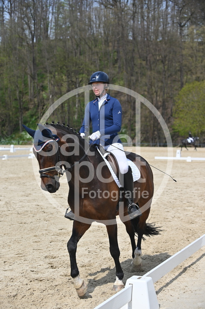 DSC_2022 | sattelsport - Realisiert mit Pictrs.com