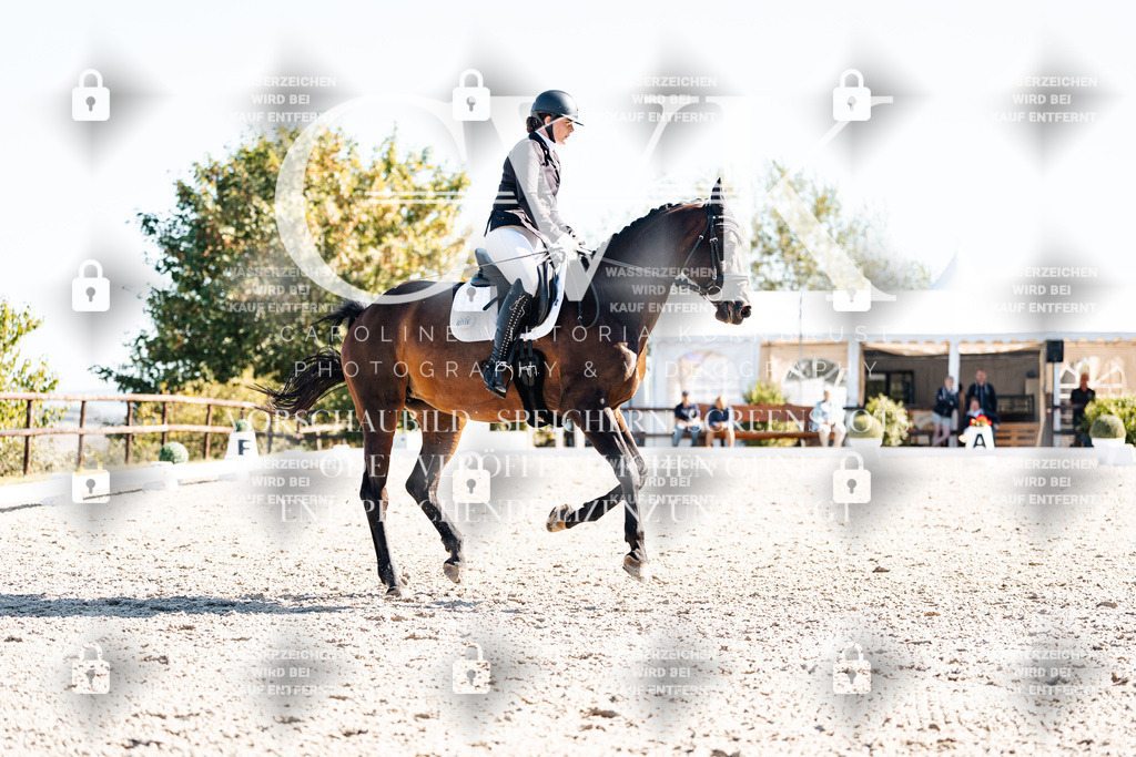 CK908726 | Turnierfotografie Pferdefotografie Trier Rheinland-Pfalz Pferdesport Reitsport Tierfotografie Sportfotografie Pferdevideo Pferdevideografie Equestrianvideography equestrianphotography  - Realisiert mit Pictrs.com