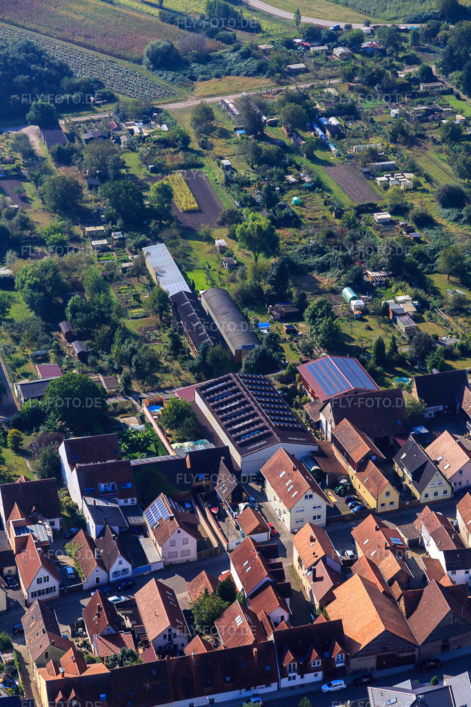 Luftbild: Landwirtschaftliche Hallen am Hintergraben in Kandel im Bundesland Rheinland-Pfalz in Deutschland. Foto: IMG_094911.jpg vom 24.09.2016 durch Werner Riehm/FLY-FOTO.de