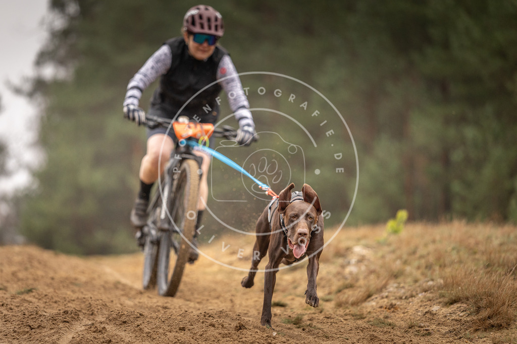 Pfotenfotografie_DV3A3364 | Hundefotografie, Tierfotograf, Pfotenfotografie, Fotoshooting Hund, Hunde Portrait, Hundesport, Hundeportraits, Heideshooting, Hunde, Sportfotograf, Hundefotograf, Turnierhundsport, THS,  - Realisiert mit Pictrs.com