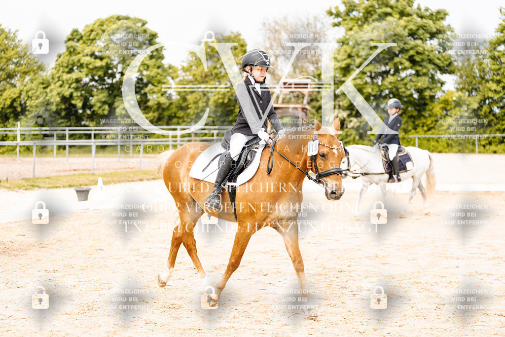 CK904527 | Turnierfotografie Pferdefotografie Trier Rheinland-Pfalz Pferdesport Reitsport Tierfotografie Sportfotografie Pferdevideo Pferdevideografie Equestrianvideography equestrianphotography  - Realisiert mit Pictrs.com