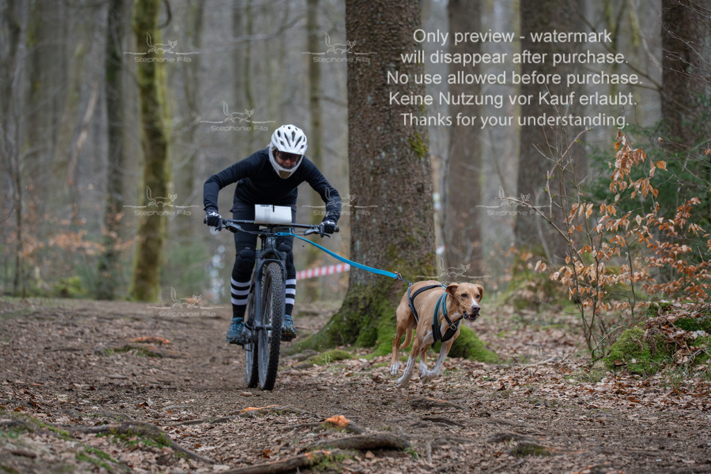 Bike_So-140 | stephaniefillaphotographie - Realisiert mit Pictrs.com