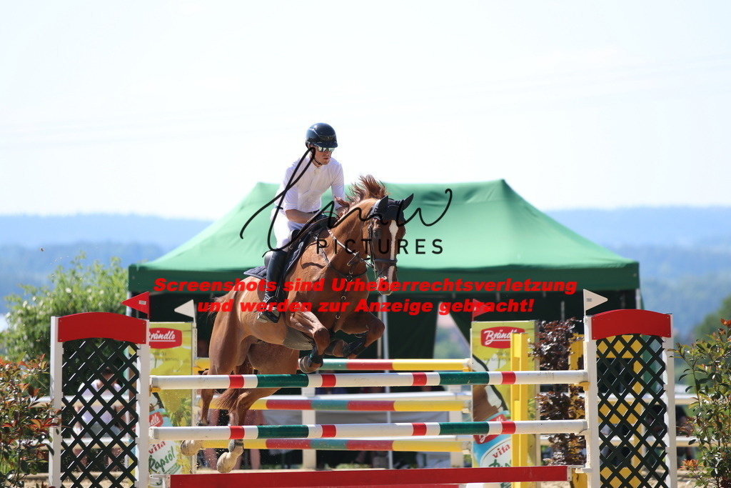 IMG_2939 | lmwpictures - Realisiert mit Pictrs.com