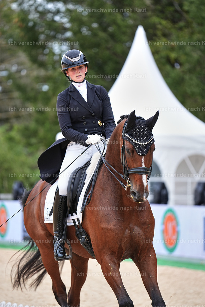 11-048-Dressur S___-Marixx-1530 | working equitationturnier fotograf videograf stoibphotography marixx film working equitation deutschland reitsport turnierfotografie eventfotografie equestrian events