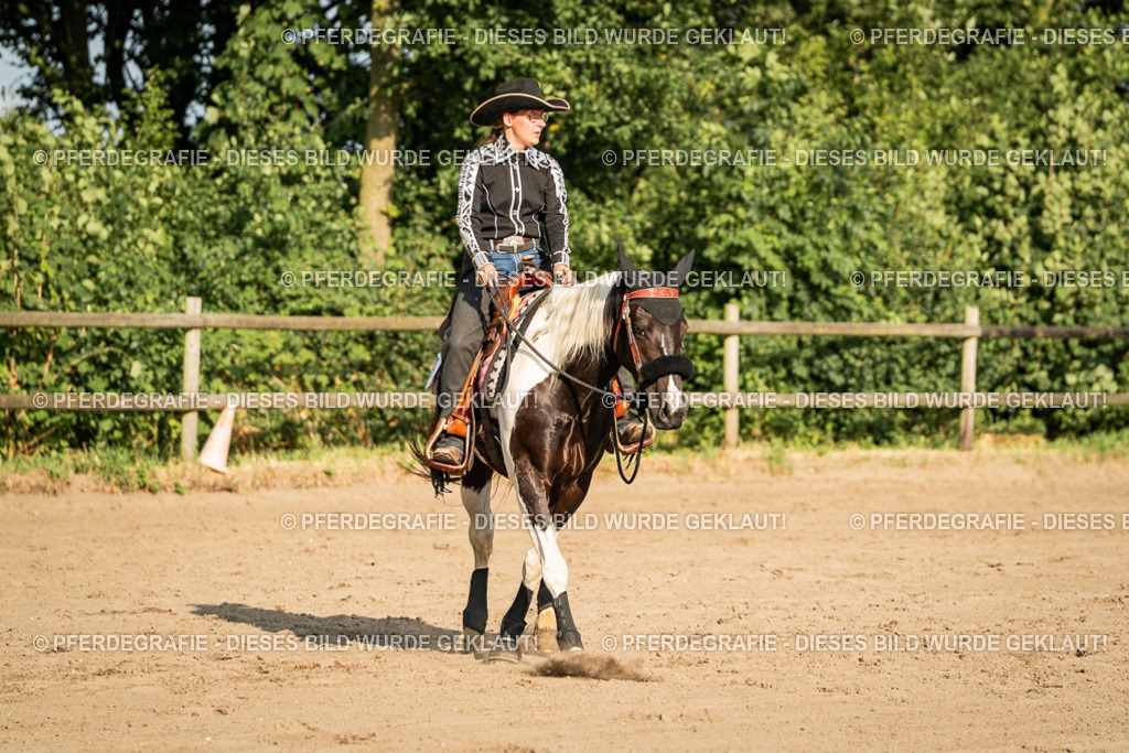 DSC05588 | Pferdegrafie