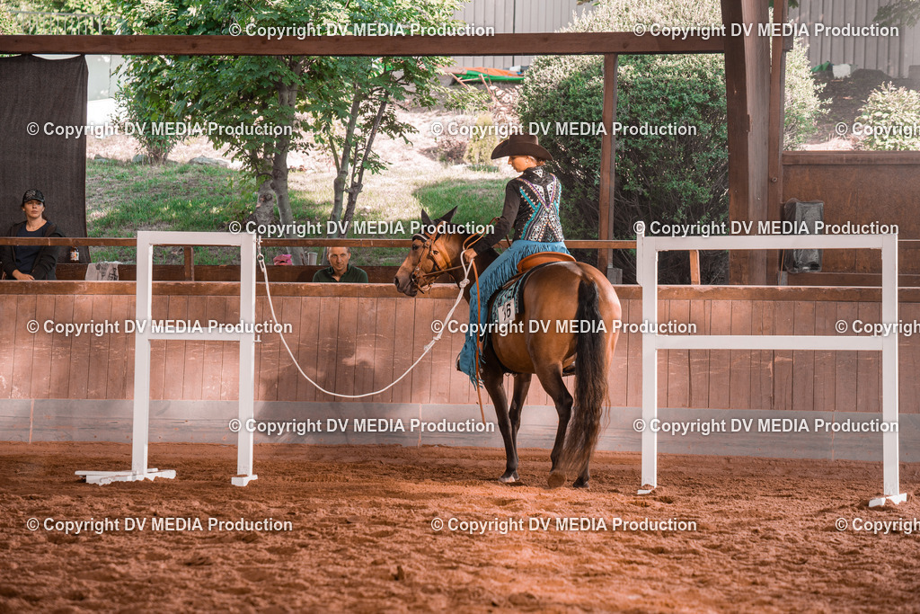 NE200093 | dv-media-shop - Realisiert mit Pictrs.com