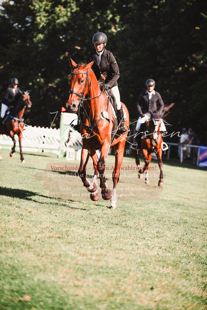 DSC_2318 | Pferde- und Turnierfotografie in Westsachsen. Pferdeportraits, Auftragszeichnungen und intuitive Kunst.