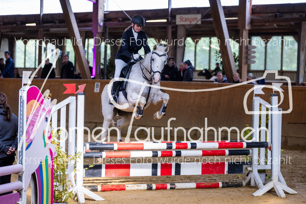 Sth-A-Springen-093 | MomenTaufnahmen Pferdesportfotos