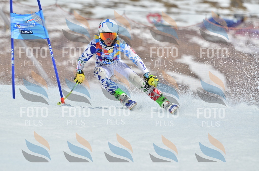 _ELE2134 | holidayphoto