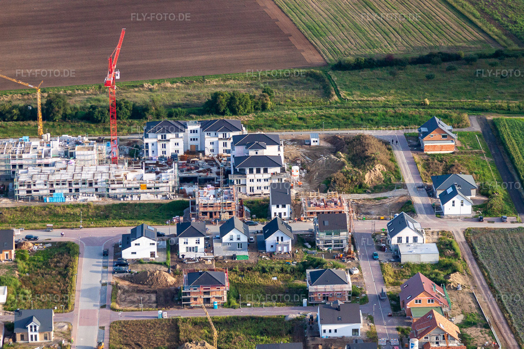 Luftbild: WBG Wohnstift im Ortsteil Schauernheim in Dannstadt-Schauernheim im Bundesland Rheinland-Pfalz in Deutschland. Foto: IMG_71220.jpg vom 27.08.2014 durch Werner Riehm/FLY-FOTO.de