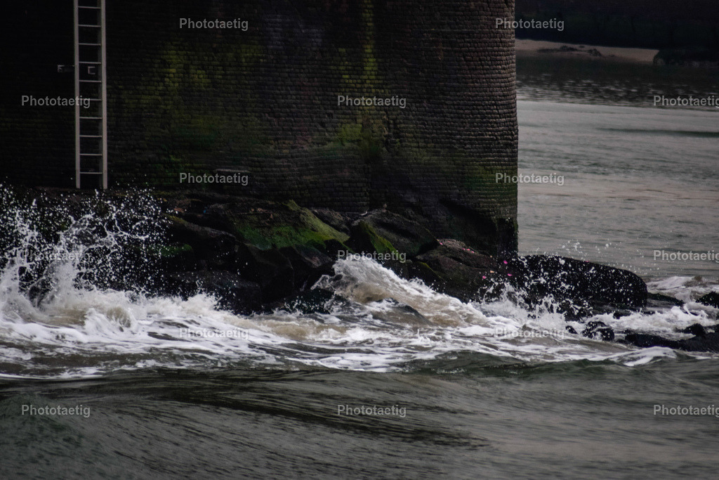 IMG_8830 | phototaetig