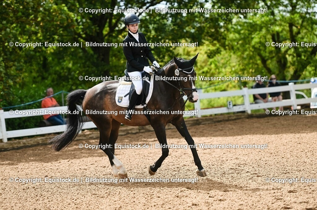 20230716_10-1_Reiter-WB Schritt - Trab - Galopp_0132 | equistock