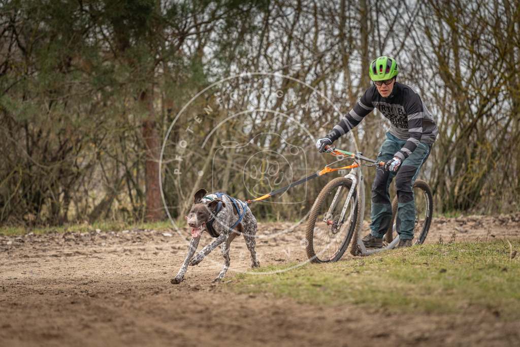 Pfotenfotografie_DV3A9455 | Hundefotografie, Tierfotograf, Pfotenfotografie, Fotoshooting Hund, Hunde Portrait, Hundesport, Hundeportraits, Heideshooting, Hunde, Sportfotograf, Hundefotograf, Turnierhundsport, THS,  - Realisiert mit Pictrs.com
