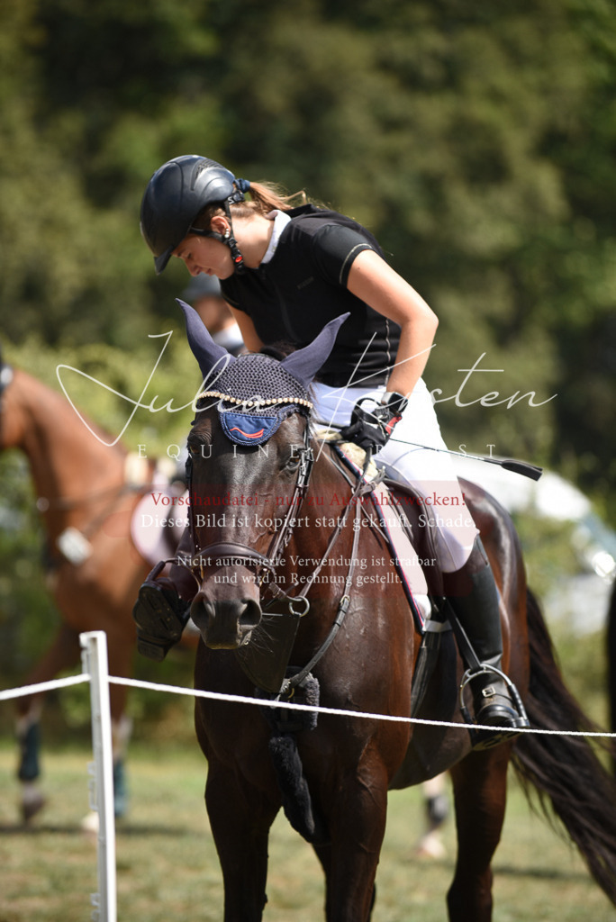 DSC_6430 | Pferde- und Turnierfotografie in Westsachsen. Pferdeportraits, Auftragszeichnungen und intuitive Kunst.