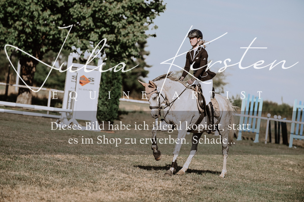 DSC_9511 | Pferde- und Turnierfotografie in Westsachsen. Pferdeportraits, Auftragszeichnungen und intuitive Kunst.