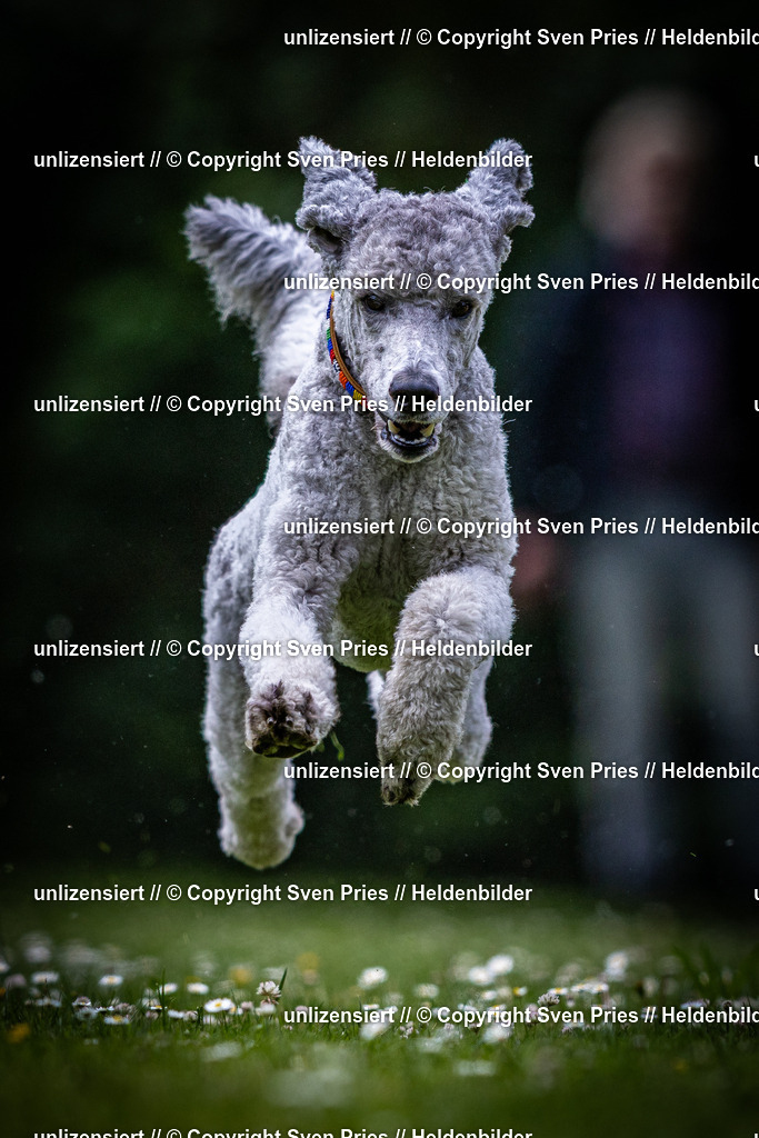 Sven Pries | 2025-05-29 - Pudelrennen KA-Durlach - Realisiert mit Pictrs.com