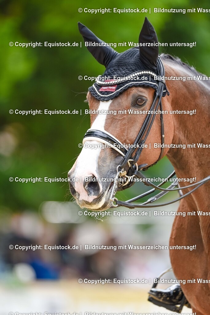 20250608_03_GP-Special-Tour_0091 | Foto: Thomas Hartig