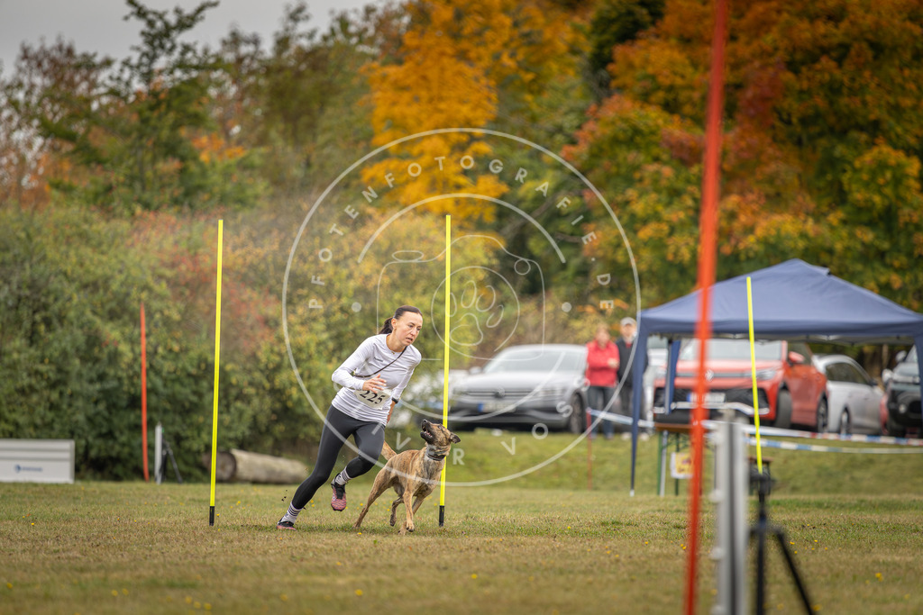 Pfotenfotografie_DV3A3912 | Hundefotografie, Tierfotograf, Pfotenfotografie, Fotoshooting Hund, Hunde Portrait, Hundesport, Hundeportraits, Heideshooting, Hunde, Sportfotograf, Hundefotograf, Turnierhundsport, THS,  - Realisiert mit Pictrs.com