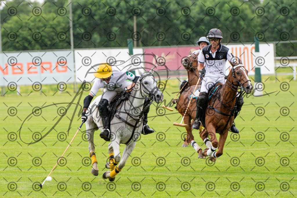 POL_2663 | andre_photographic