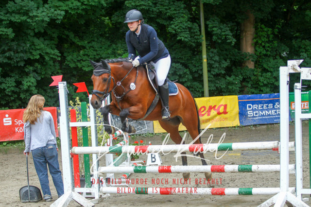 DKP45013 | Turnierfotos kaufen im Webshop von Daniel Kuhl Photography – entdecke professionelle Reitsportfotos aus Turnieren & Events. Hochwertige Turnierbilder online bestellen & sichern. Jetzt Fotos von Reitsportturnieren kaufen!