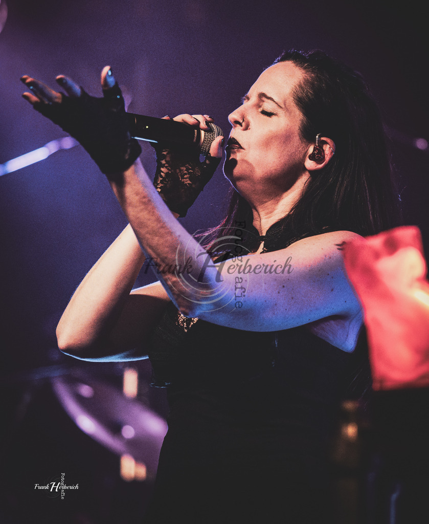 A Night In Temptation 06.03.2026 Erlenbach | Frank Herberich Fotografie, Frank Herberich, Fotografie, Hochzeit, Portrait, St. Peter Ording, Ording, Westerhever, Nordsee, Frank Fotografie, Hardheim,  Odenwald,Walldürn, Band,Eventfotografie - Realisiert mit Pictrs.com