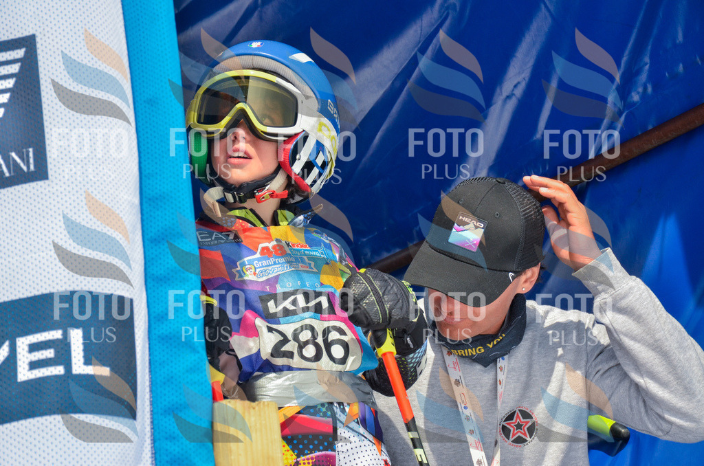 _ELE8018 | holidayphoto