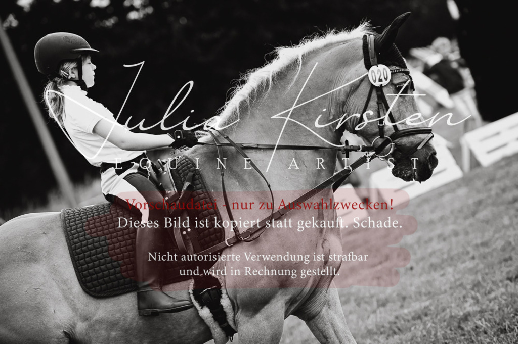 DSC_5209 | Pferde- und Turnierfotografie in Westsachsen. Pferdeportraits, Auftragszeichnungen und intuitive Kunst.