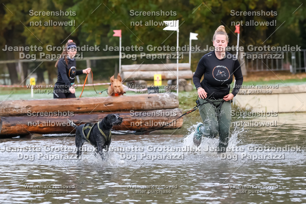 Dog Paparazzi - Strongdog 10-25-6217 | Dog Paparazzi Jeanette Grottendiek Fotografie & Videografie - Realisiert mit Pictrs.com