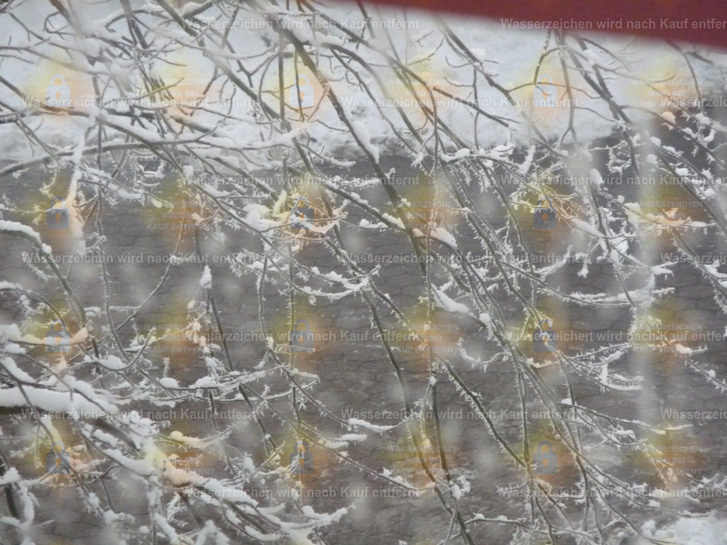 P1000211 | Fotoseite Wolkenblende - Das Hobby fotografieren begleitet mich schon  viele  Jahre. Auf den nächsten Seiten zeige ich ein paar Schnappschüsse der letzten Jahre und es kommen immer neue hinzu. Schau einfach mal rein. - Realisiert mit Pictrs.com