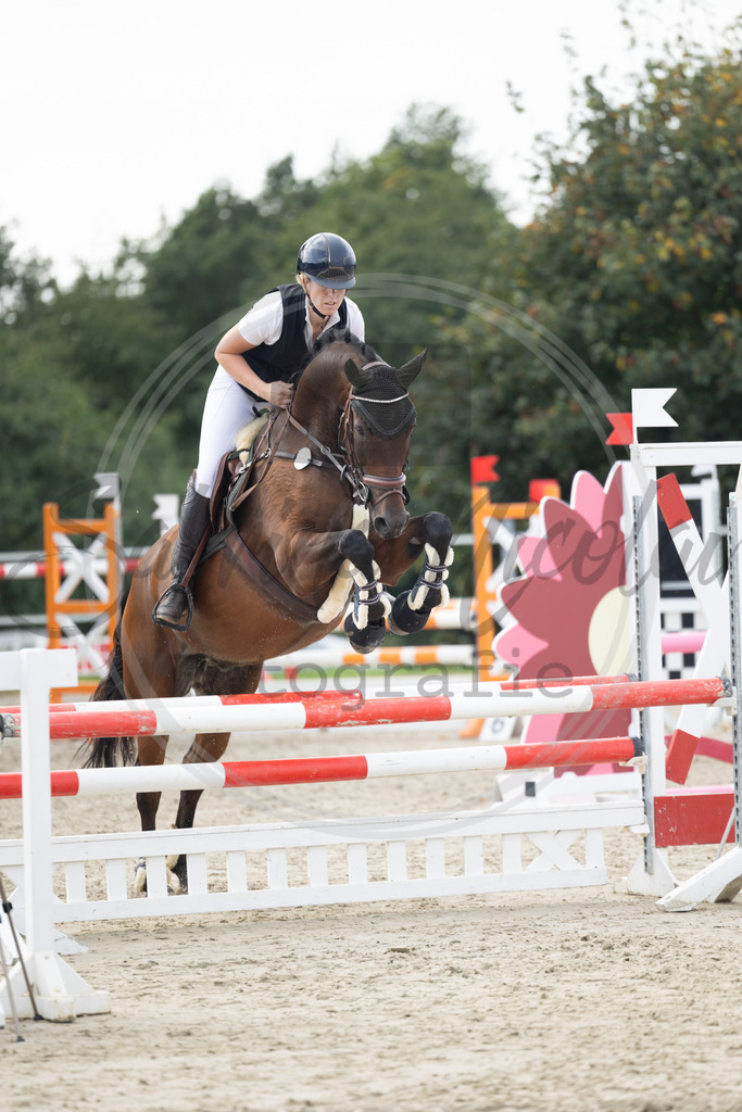 994A1988 | sabrinanicolaifotografie - Realisiert mit Pictrs.com