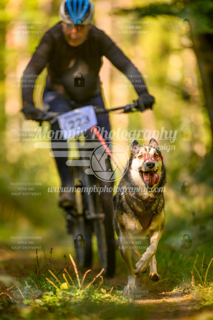 MompixPhotography_Yens2025_B3-18 | PayLife